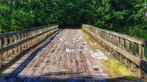 Walkway amidst trees and plants