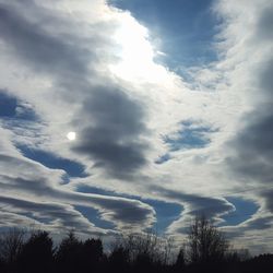 Low angle view of trees against sky