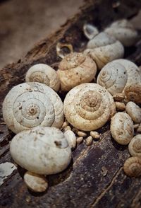 Close-up of stones on stones