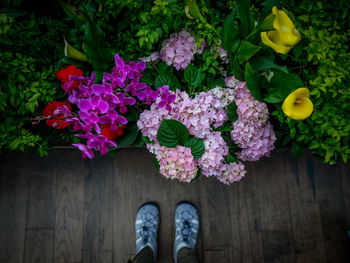 Low section of person on pink flowering plants