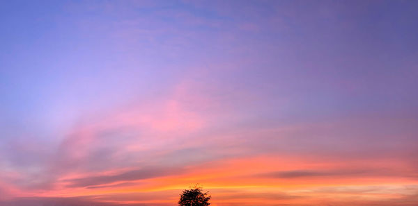 Low angle view of silhouette trees against romantic sky