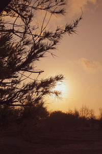 Silhouette trees against sky during sunset