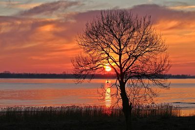 Silhouette bare tree by lake against romantic sky at sunset