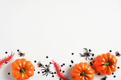 Close-up of orange fruits against white background