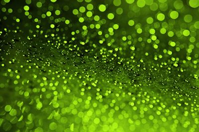 Close-up of water drops on leaf