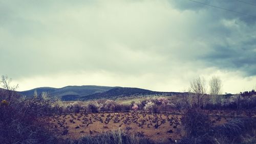 Scenic view of mountains against cloudy sky