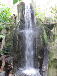 Waterfall in forest