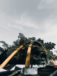 Low angle view of trees against sky