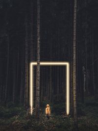 Digital composite image of man standing by illuminated lights at forest