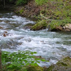 Scenic view of waterfall in forest