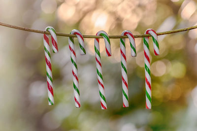 Close-up of multi colored clothespins hanging on rope