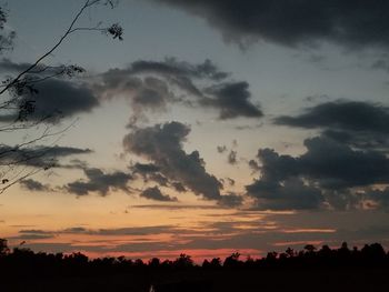 Low angle view of silhouette trees against sky