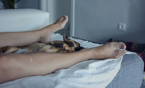 Low section of woman with dog on bed