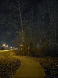 Street lights on road amidst trees at night