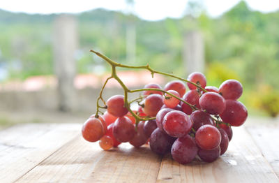 Close-up of grapes on table