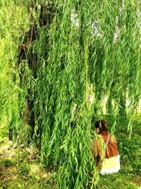 Rear view of woman sitting on field