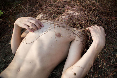 High angle view of shirtless man hiding face with dried plants while lying on field