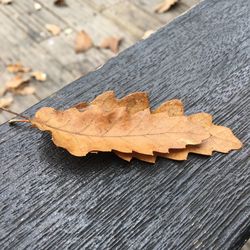 Close-up of dry leaf on wood