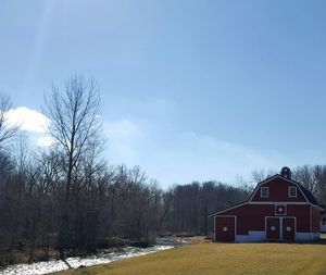 Bare trees on snow covered landscape