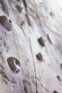 High angle view of a hole on wood