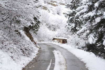 Snow covered road amidst trees during winter