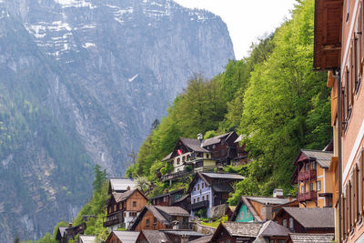 High angle view of houses and trees in village