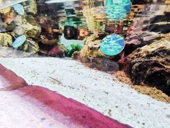 Close-up of stones in sea