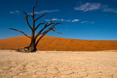 View of landscape against blue sky