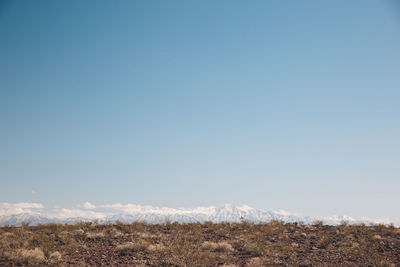 Scenic view of field against clear blue sky