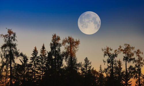 Low angle view of moon against blue sky