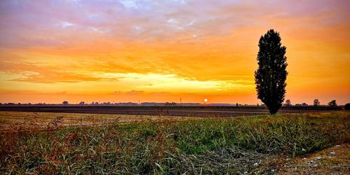 Scenic view of field against sky during sunset