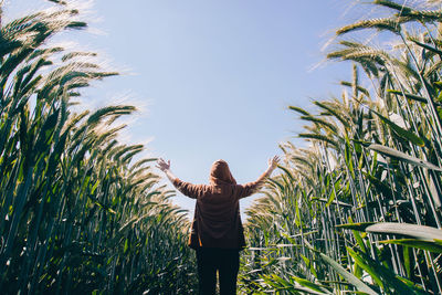 Rear view of person standing amidst crops on field against sky