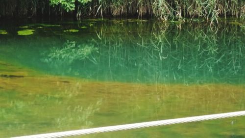 Close-up of swimming pool in lake