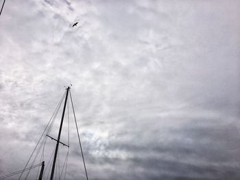 Low angle view of birds flying against sky