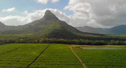 Scenic view of agricultural field against sky