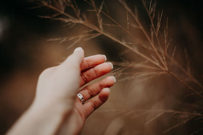 Close-up of woman hand with hands