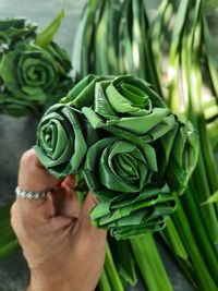 Close-up of hand holding green leaves