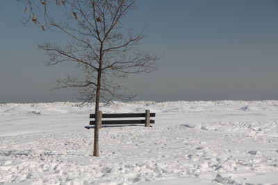 Scenic view of empty beach