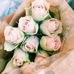 Close-up of white roses