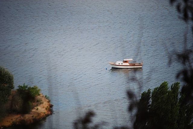 water, tree, tranquility, nature, reflection, tranquil scene, plant, nautical vessel, lake, waterfront, growth, beauty in nature, outdoors, boat, day, no people, transportation, built structure, scenics, river