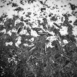 High angle view of snow on land