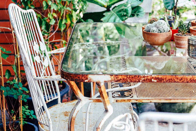 Close-up of potted plants on table