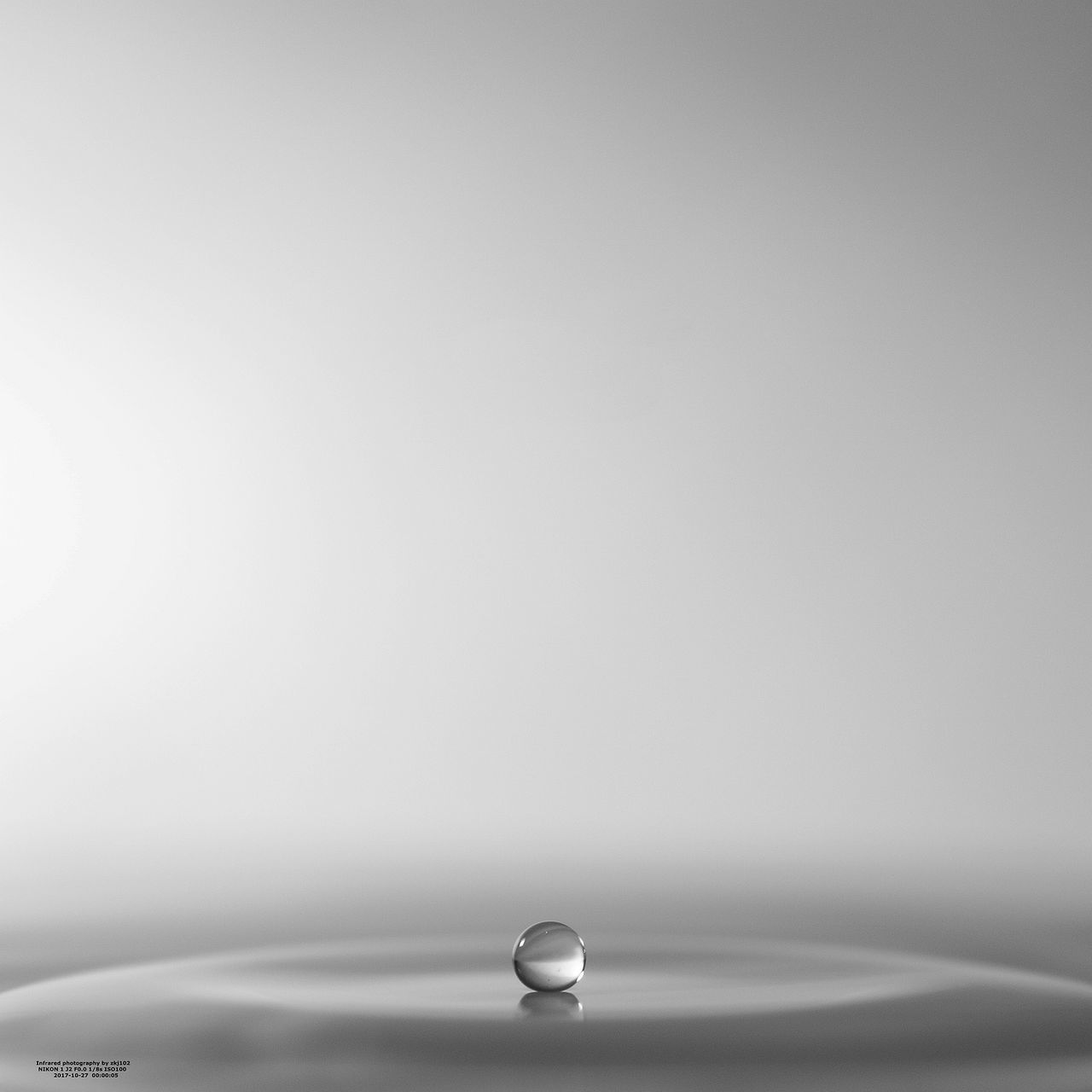 copy space, no people, studio shot, indoors, white background, purity, close-up, water, day