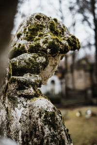 Close-up of statue against blurred background