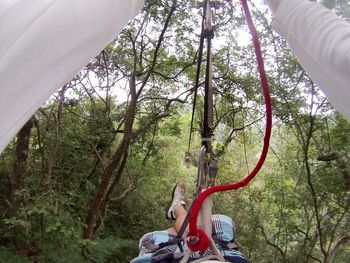 Low section of person on horse against trees