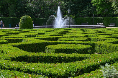 Close-up of fountain