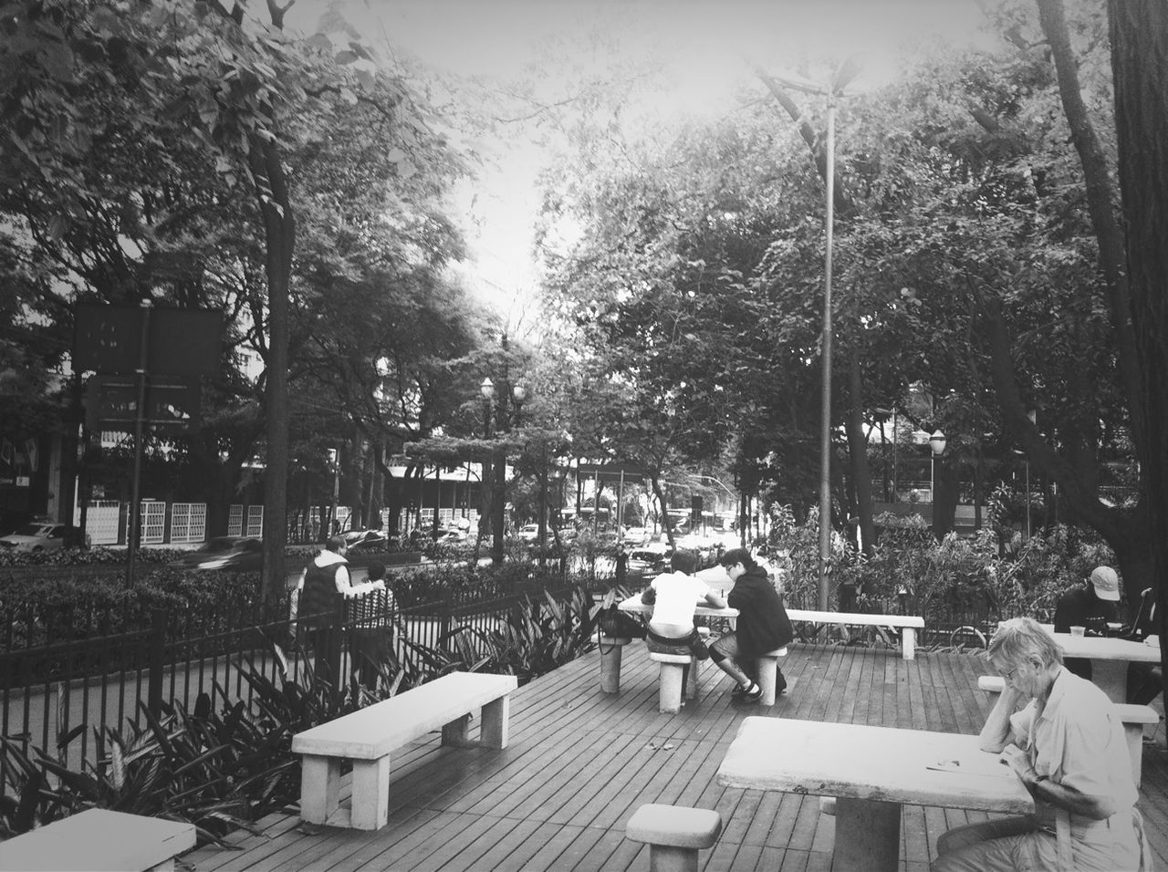 tree, men, person, bench, sitting, building exterior, lifestyles, leisure activity, chair, relaxation, built structure, sunlight, architecture, table, day, outdoors, clear sky, sky, togetherness