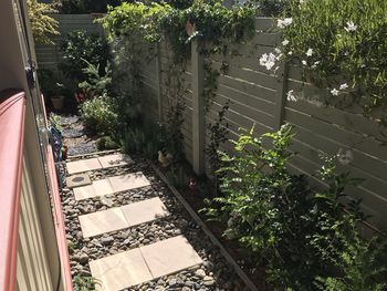 High angle view of railroad tracks by plants