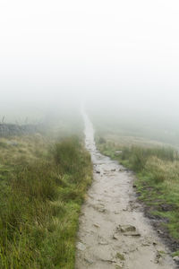 Footpath through field in foggy weather