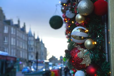 Close-up of christmas tree